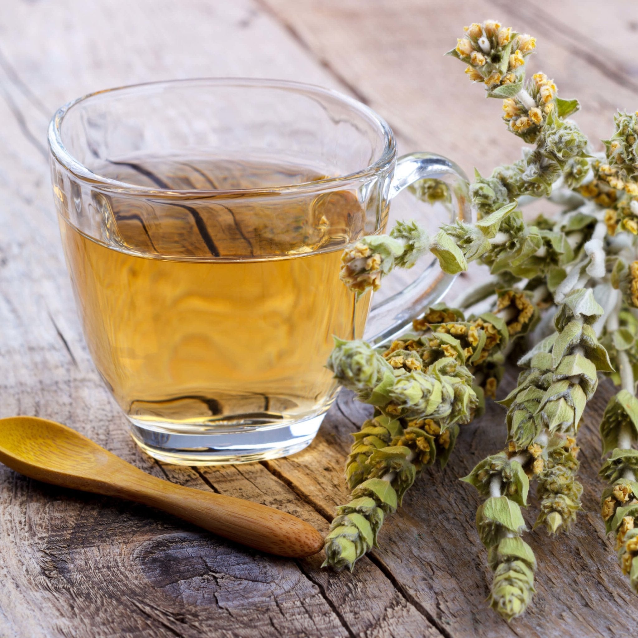 Mountain Tea (Mount Olympus)